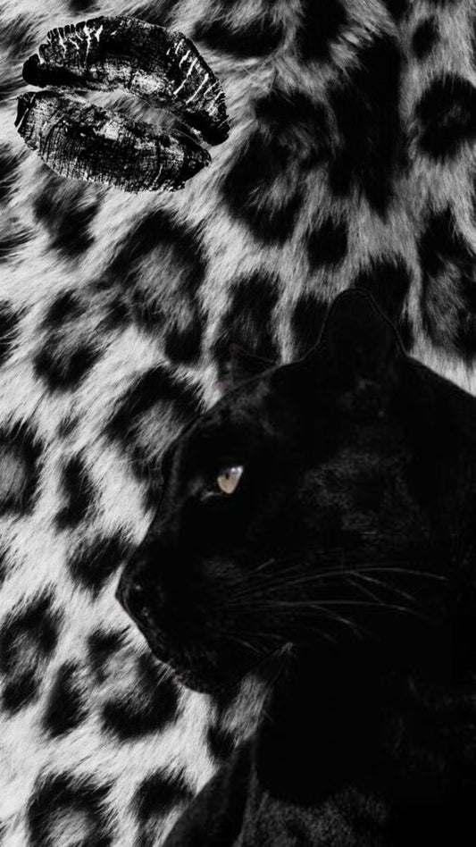 Black and White Panther Digital Wallpaper